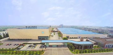 隆力奇 堅(jiān)守大健康產(chǎn)業(yè)，以網(wǎng)絡(luò)科技賦能民族品牌振興之路